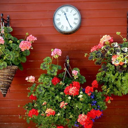 Llanwenarth Cottage A Beautiful Place To Just Be. Abergavenny Εξωτερικό φωτογραφία