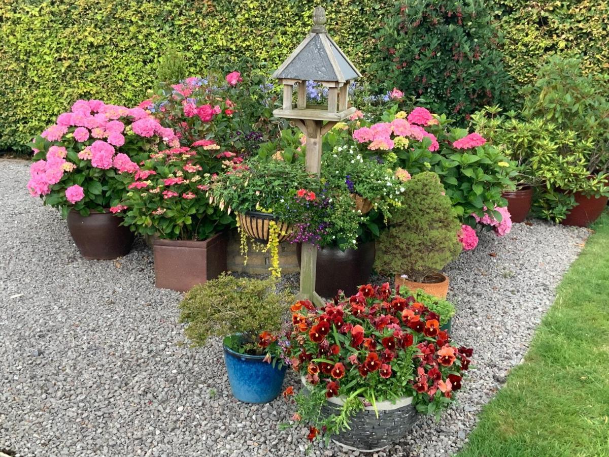 Llanwenarth Cottage A Beautiful Place To Just Be. Abergavenny Εξωτερικό φωτογραφία