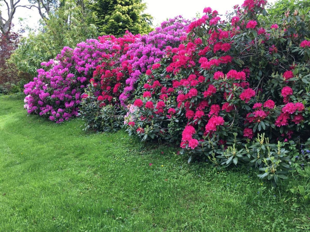 Llanwenarth Cottage A Beautiful Place To Just Be. Abergavenny Εξωτερικό φωτογραφία