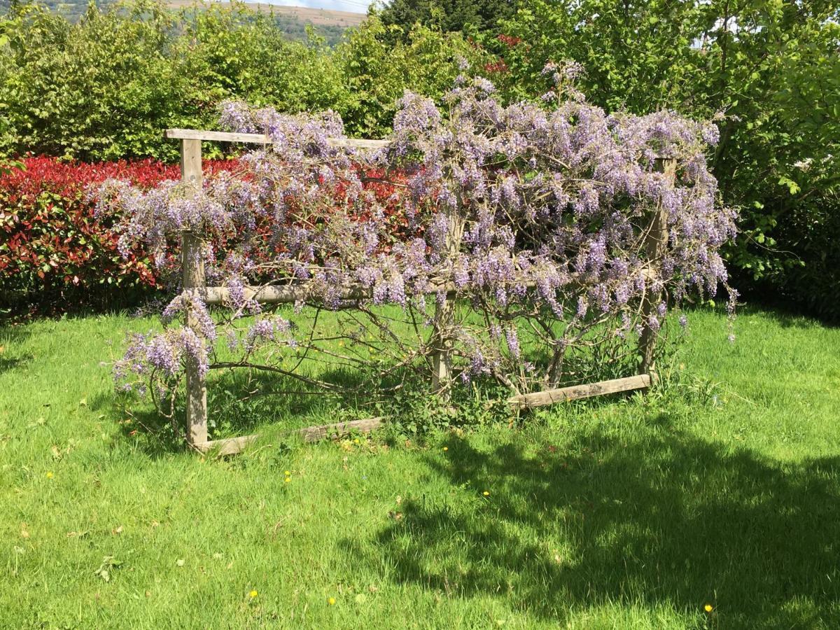 Llanwenarth Cottage A Beautiful Place To Just Be. Abergavenny Εξωτερικό φωτογραφία