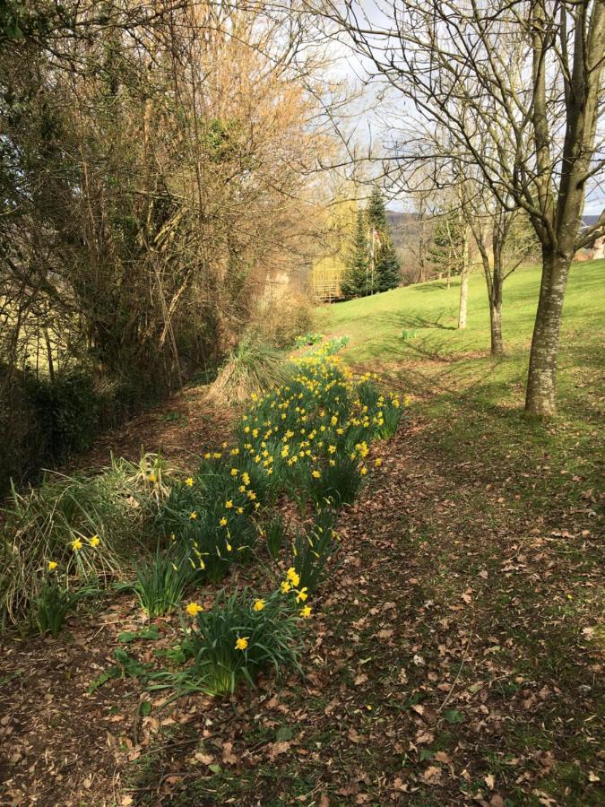 Llanwenarth Cottage A Beautiful Place To Just Be. Abergavenny Εξωτερικό φωτογραφία