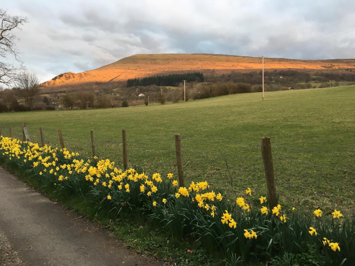 Llanwenarth Cottage A Beautiful Place To Just Be. Abergavenny Εξωτερικό φωτογραφία