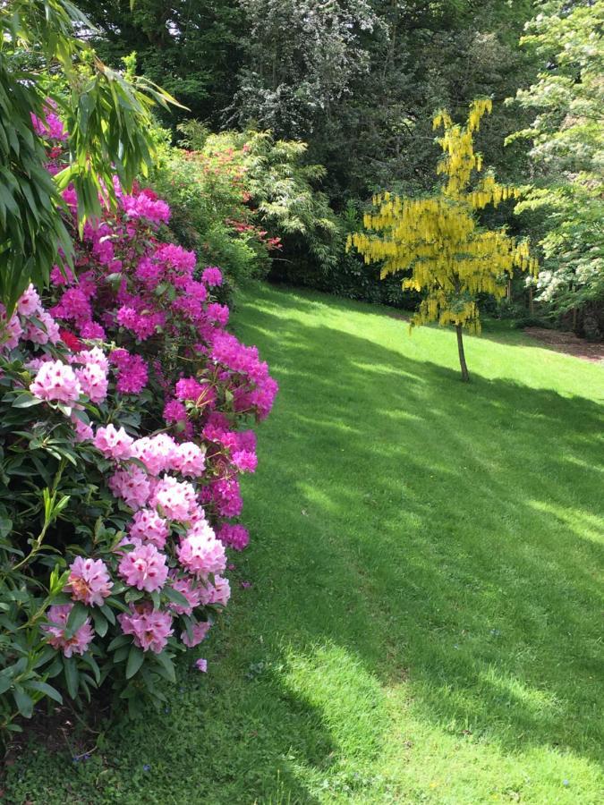 Llanwenarth Cottage A Beautiful Place To Just Be. Abergavenny Εξωτερικό φωτογραφία